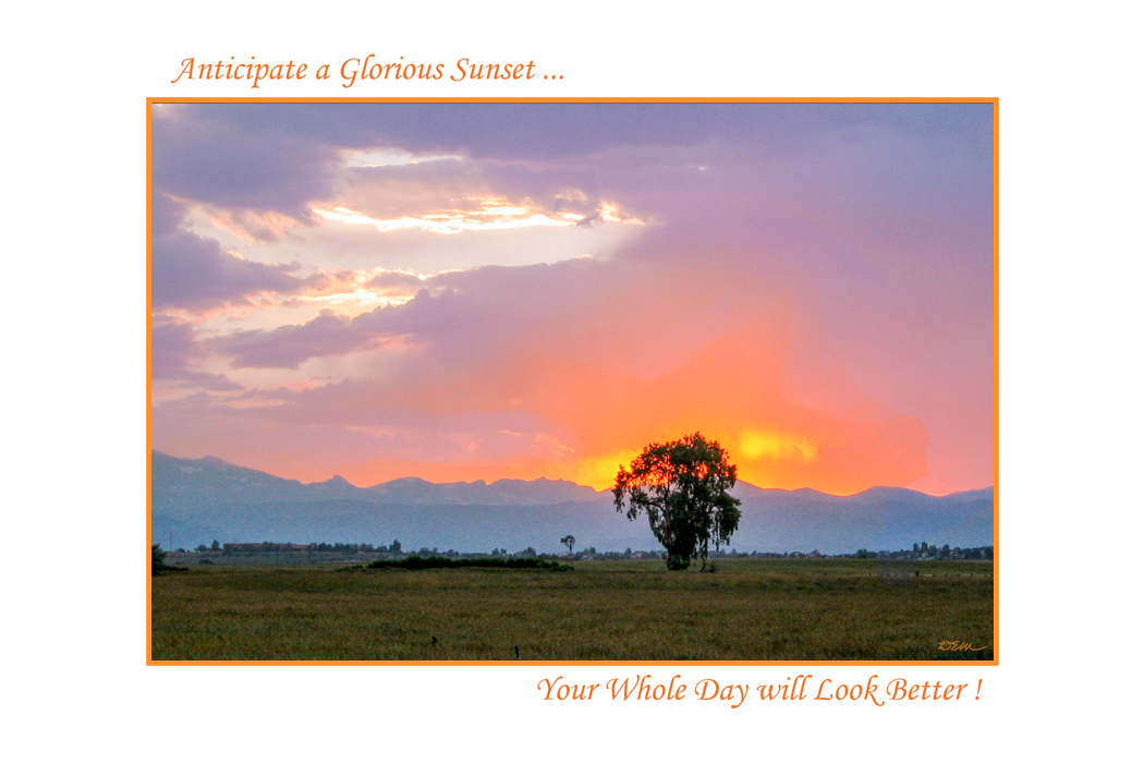 Greeting Cards